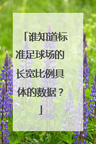 谁知道标准足球场的长宽比例具体的数据？