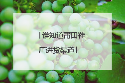 谁知道莆田鞋厂进货渠道