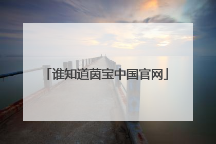 谁知道茵宝中国官网