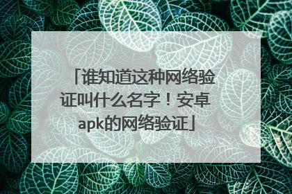 谁知道这种网络验证叫什么名字！安卓apk的网络验证