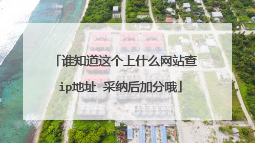 谁知道这个上什么网站查ip地址 采纳后加分哦
