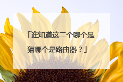 谁知道这二个哪个是猫哪个是路由器?