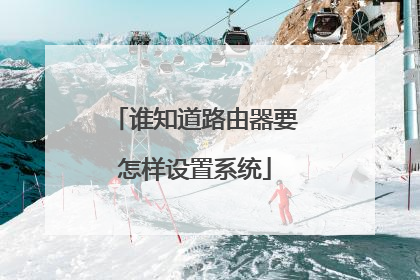 谁知道路由器要怎样设置系统