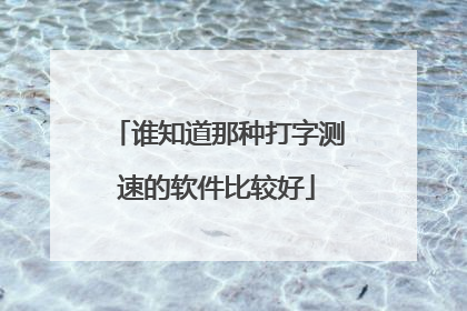 谁知道那种打字测速的软件比较好