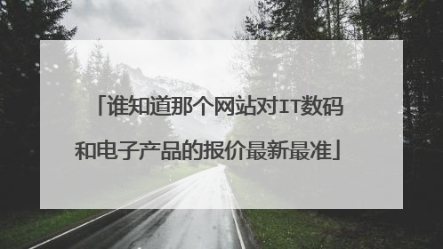 谁知道那个网站对IT数码和电子产品的报价最新最准
