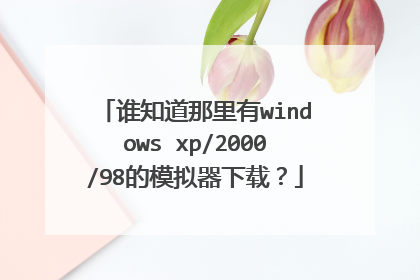 谁知道那里有windows xp/2000/98的模拟器下载？