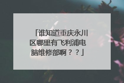 谁知道重庆永川区哪里有飞利浦电脑维修部啊??