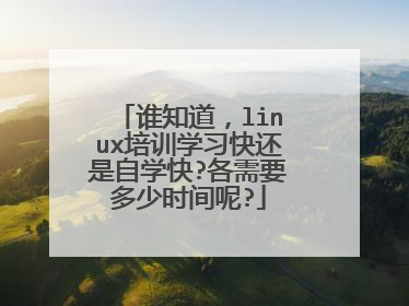 谁知道,linux培训学习快还是自学快?各需要多少时间呢?