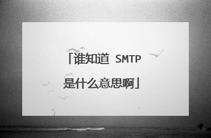 谁知道 SMTP 是什么意思啊