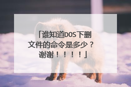 谁知道DOS下删文件的命令是多少？ 谢谢！！！！