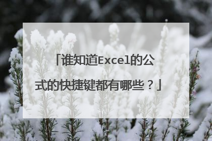 谁知道Excel的公式的快捷键都有哪些？