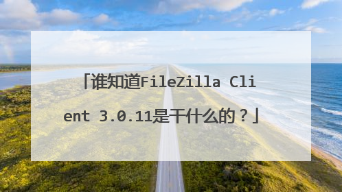 谁知道FileZilla Client 3.0.11是干什么的?