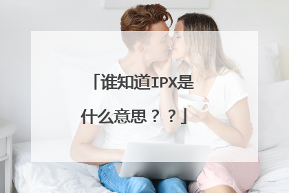 谁知道IPX是什么意思？？
