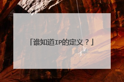 谁知道IP的定义？