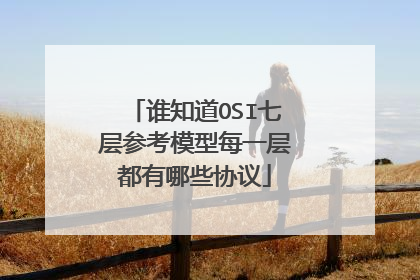 谁知道OSI七层参考模型每一层都有哪些协议