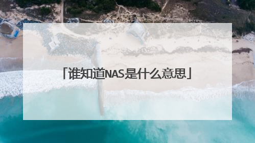 谁知道NAS是什么意思