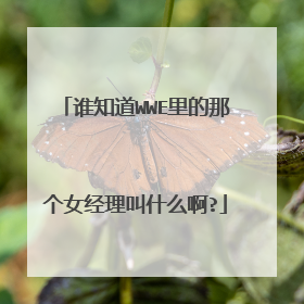 谁知道WWE里的那个女经理叫什么啊?