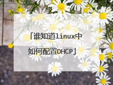 谁知道linux中如何配置DHCP