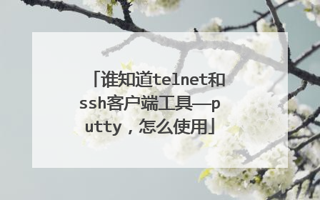 谁知道telnet和ssh客户端工具——putty,怎么使用
