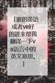 谁的英语或者VB好的进来帮我翻译一下VB语言中的英文意思。