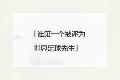 谁第一个被评为世界足球先生