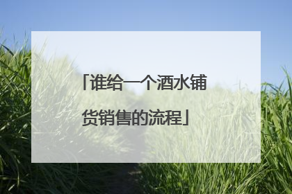 谁给一个酒水铺货销售的流程