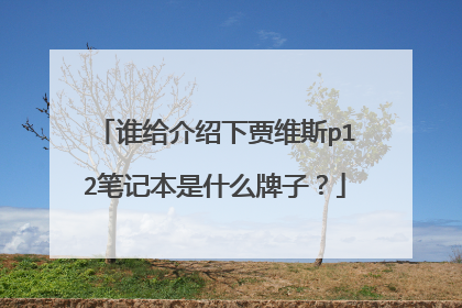 谁给介绍下贾维斯p12笔记本是什么牌子?