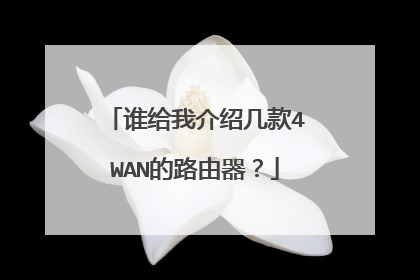 谁给我介绍几款4WAN的路由器?