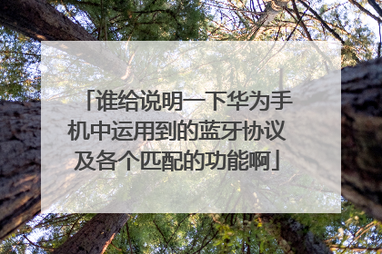 谁给说明一下华为手机中运用到的蓝牙协议及各个匹配的功能啊