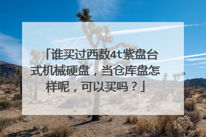谁买过西数4t紫盘台式机械硬盘,当仓库盘怎样呢,可以买吗?