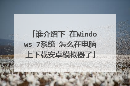 谁介绍下 在Windows 7系统 怎么在电脑上下载安卓模拟器了