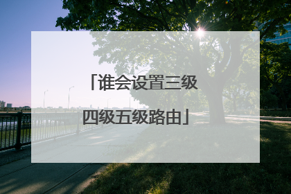 谁会设置三级四级五级路由