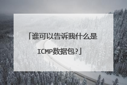 谁可以告诉我什么是ICMP数据包?