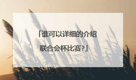 谁可以详细的介绍联合会杯比赛?