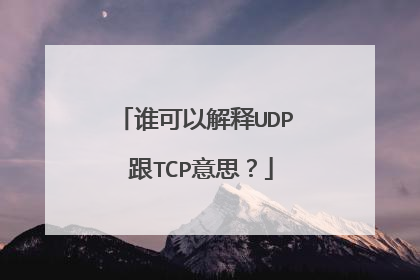 谁可以解释UDP 跟TCP意思?