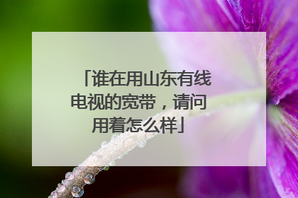 谁在用山东有线电视的宽带，请问用着怎么样
