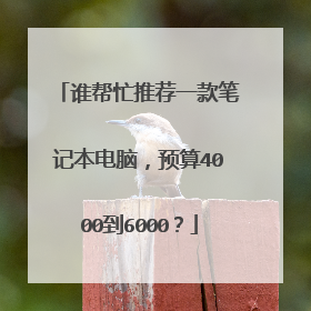 谁帮忙推荐一款笔记本电脑,预算4000到6000?
