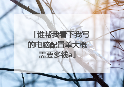 谁帮我看下我写的电脑配置单大概需要多钱a