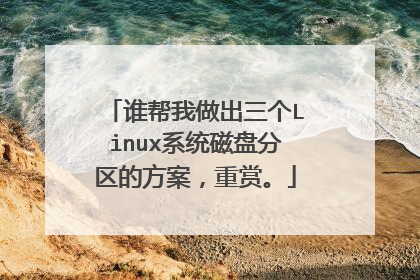谁帮我做出三个Linux系统磁盘分区的方案，重赏。
