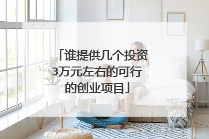 谁提供几个投资3万元左右的可行的创业项目