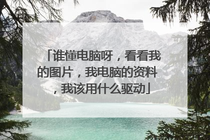 谁懂电脑呀,看看我的图片,我电脑的资料,我该用什么驱动