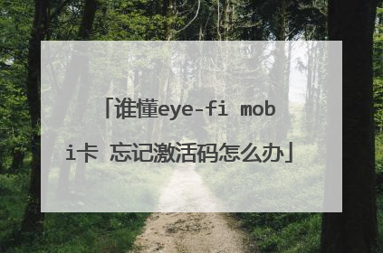 谁懂eye-fi mobi卡 忘记激活码怎么办
