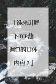 谁来讲解下TCP数据包的具体内容？