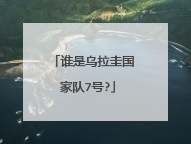 谁是乌拉圭国家队7号?