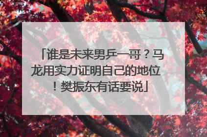 谁是未来男乒一哥？马龙用实力证明自己的地位！樊振东有话要说
