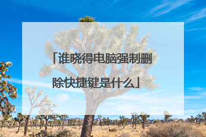 谁晓得电脑强制删除快捷键是什么