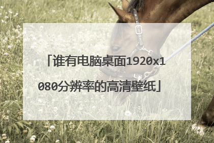 谁有电脑桌面1920x1080分辨率的高清壁纸