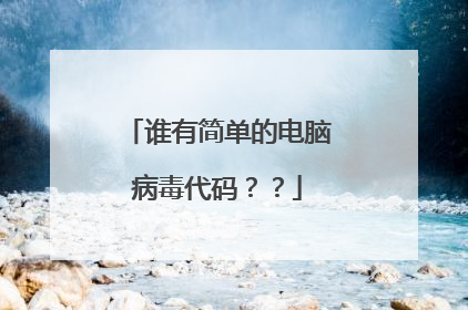 谁有简单的电脑病毒代码？？