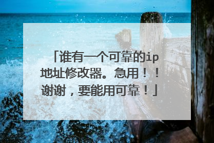 谁有一个可靠的ip地址修改器。急用!!谢谢,要能用可靠!