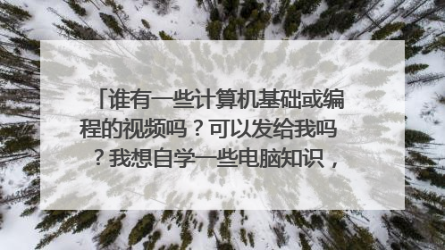 谁有一些计算机基础或编程的视频吗？可以发给我吗？我想自学一些电脑知识，不想做电脑文盲了！
